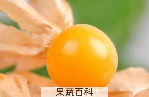 哥伦比亚龙珠果的功效与作用