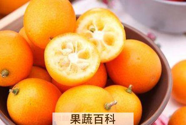 吃金钱桔的功效与作用