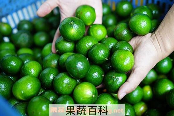 小青柑的功效与作用