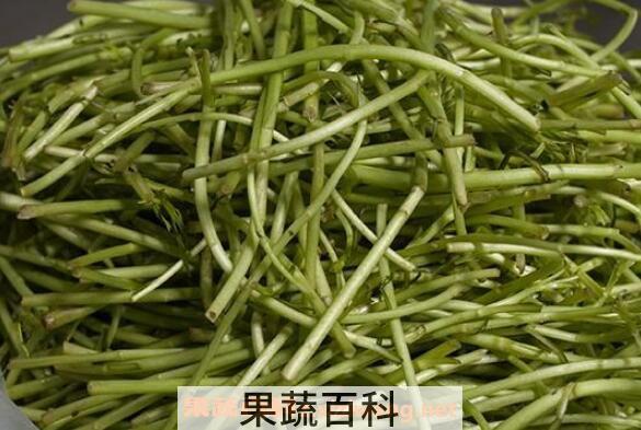 藜蒿的功效与作用 藜蒿的食用禁忌