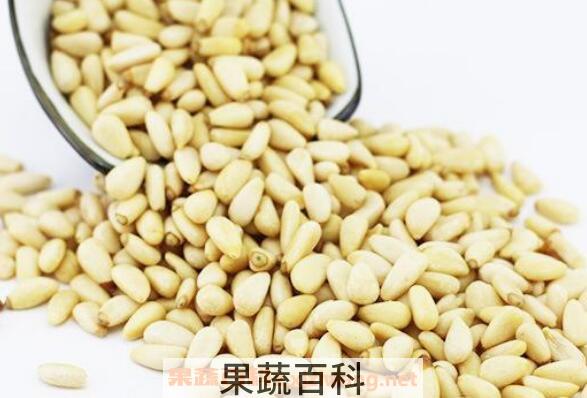 松籽仁的功效和作用