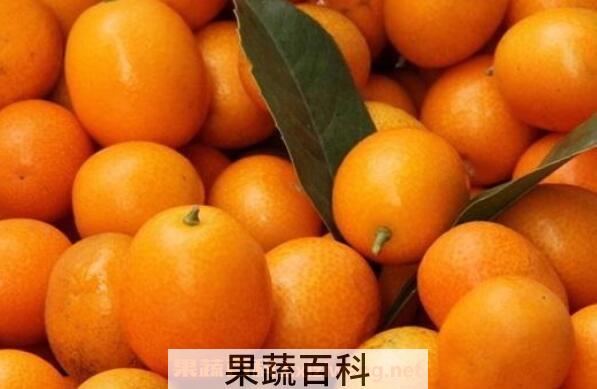 金钱橘的功效与作用 金钱橘上火吗