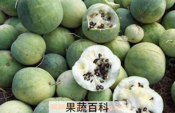 籽瓜怎么吃 籽瓜的功效与作用