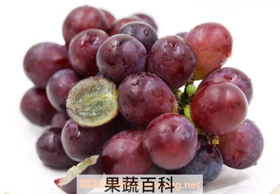 无籽葡萄是转基因吗 无籽葡萄对身体有害吗