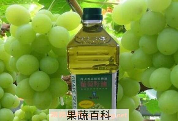 葡萄籽油的功效与作用 葡萄籽油的营养价值