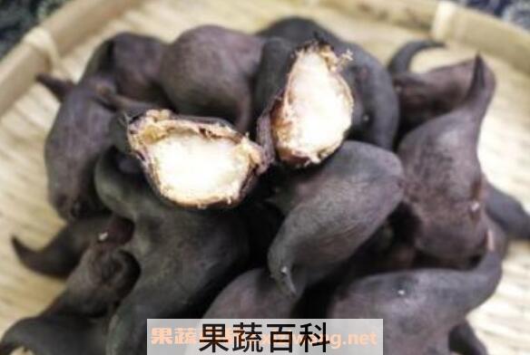 菱角的功效与作用