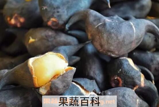 菱角的功效与作用