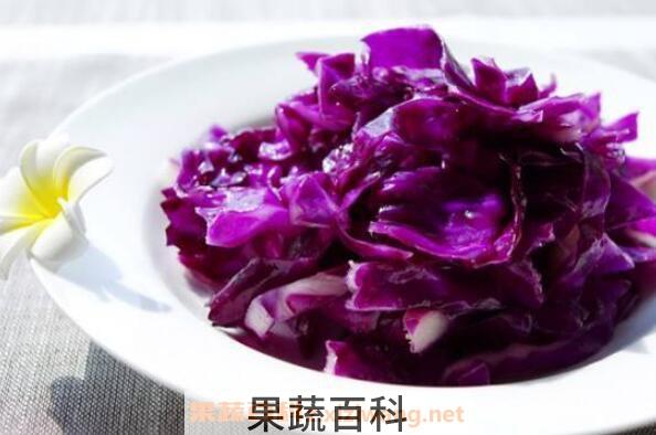 紫甘蓝的营养价值 紫甘蓝怎么吃最有营养