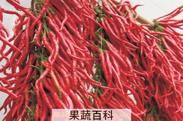 二荆条