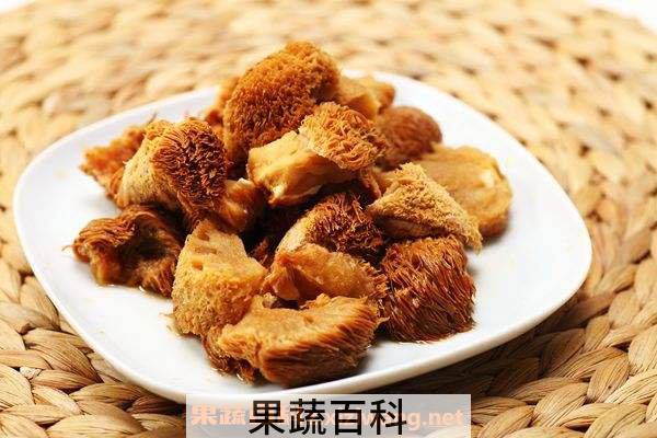 猴头菇