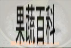 果蔬百科蚝干粥