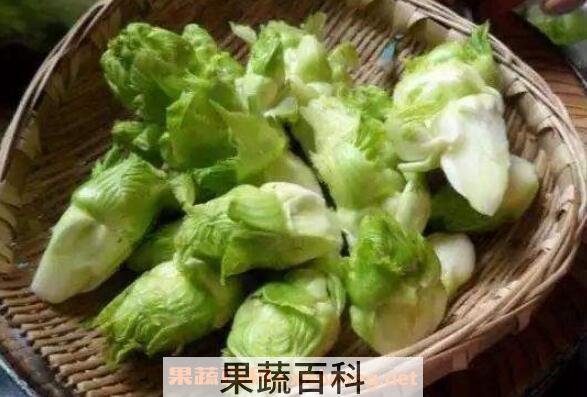什么是儿菜 儿菜的营养价值及功效