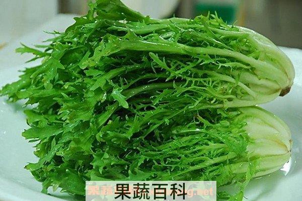 九牙生菜