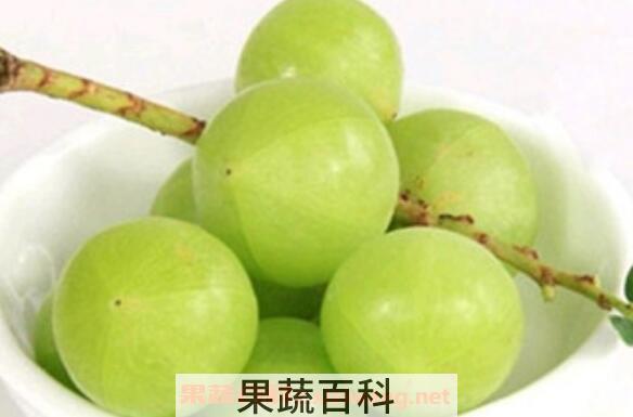 余甘子的功效与作用及食用方法