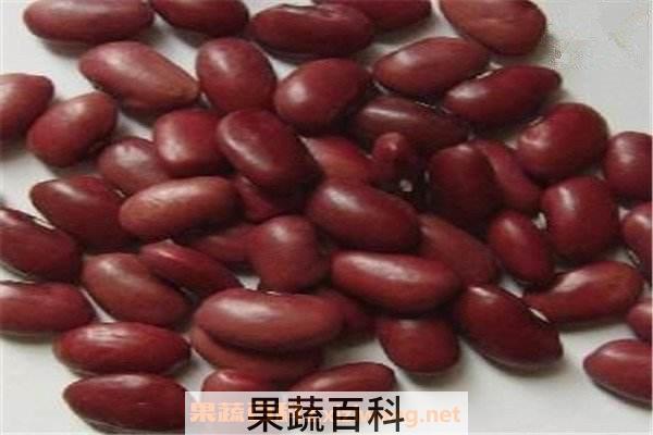 小花腰豆