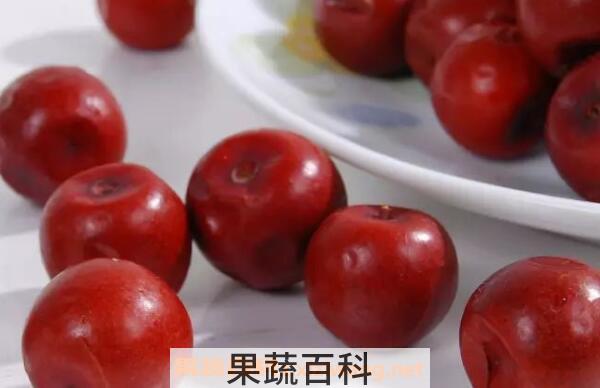 酸枣泡水喝的功效与作用有哪些