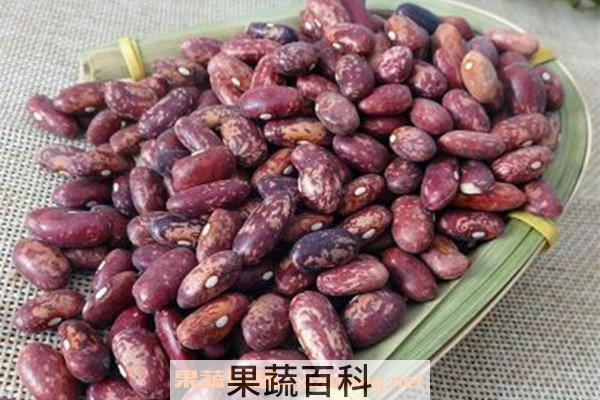 大腰豆