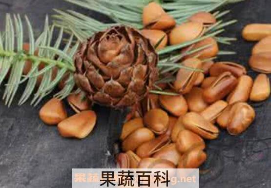 松树果子的功效与作用