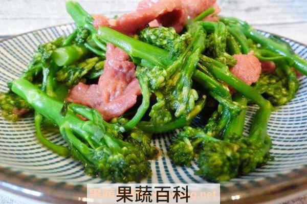 西兰苔