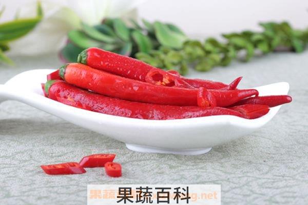 美人椒