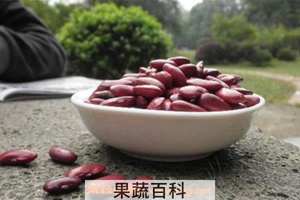 红腰豆