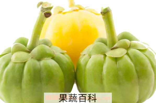 藤黄果的功效与作用