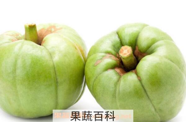 藤黄果的功效与作用
