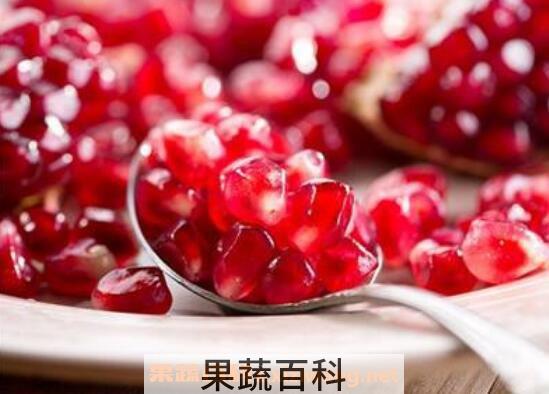 石榴籽能吃吗 石榴籽有哪些功效作用