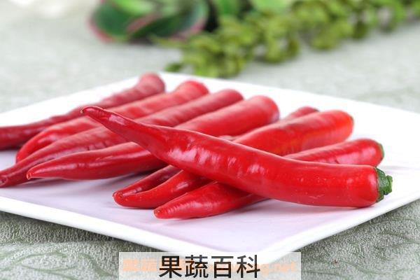美人椒