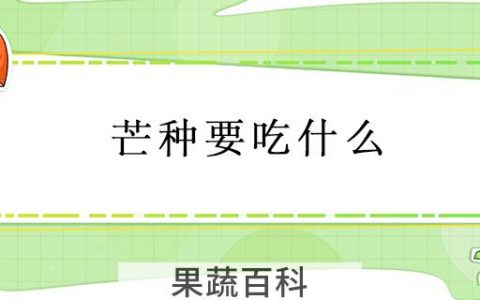 芒种要吃什么