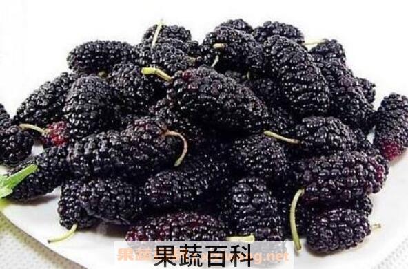 黑桑果的功效与作用 吃黑桑果的好处