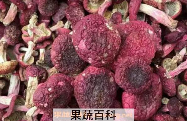 野生红菇如何吃 野生红菇的功效与作用