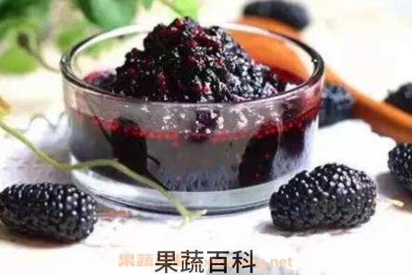 桑葚干泡酒的制作方法