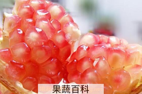  酸石榴的功效与作用
