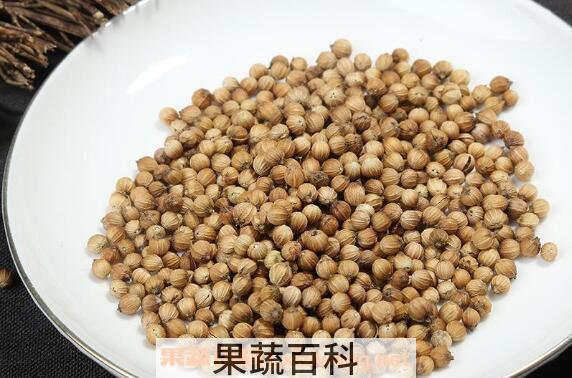 芫荽籽的功效与作用 芫荽籽的药用价值