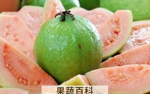 番石榴怎么吃好吃窍门 番石榴怎么吃比较好