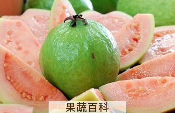  番石榴怎么吃 番石榴的吃法技巧