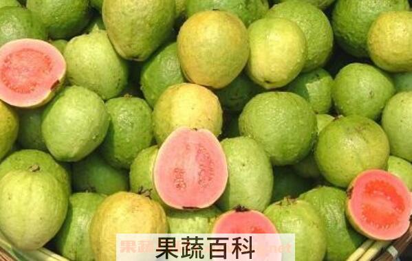  番石榴怎么吃 番石榴的吃法技巧