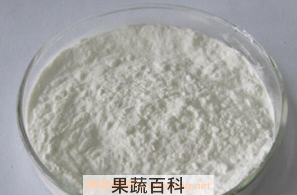 水苏糖的功效与作用 棉籽糖在那些食物里