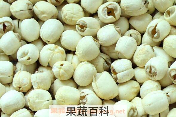  莲子粉的功效与作用