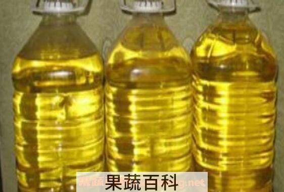 棉籽油的功效与作用 棉籽油有什么危害