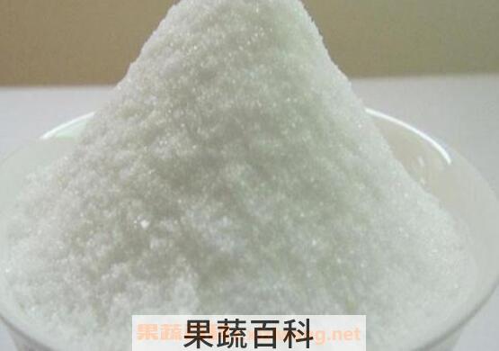 棉籽糖的功效及作用 棉籽糖怎么食用