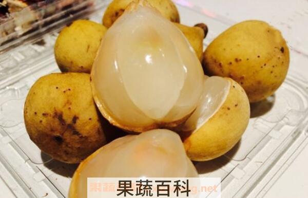 龙宫果怎么吃 吃龙宫果的禁忌