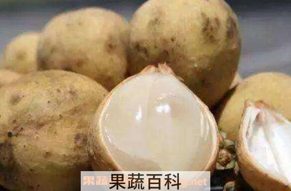 龙宫果怎么吃 吃龙宫果的禁忌