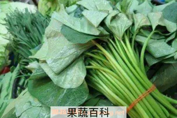 地瓜叶的功效与作用 吃地瓜叶的禁忌