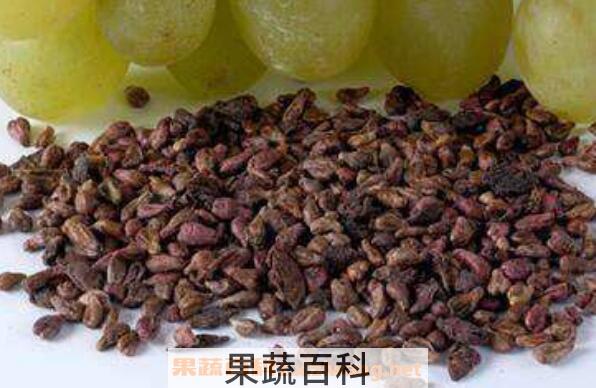 葡萄子的功效与作用