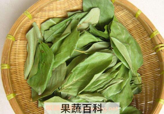 柿子叶泡水喝的功效