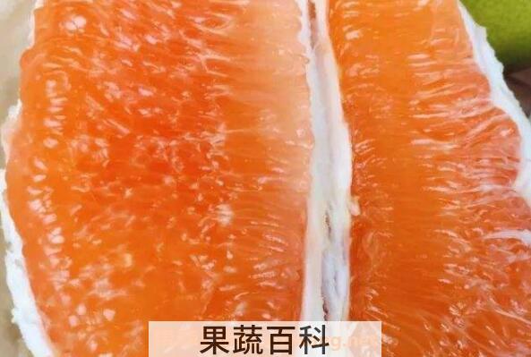 黄心柚为什么那么苦 黄心柚子有什么营养