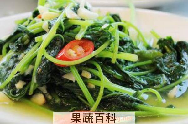 地瓜叶子怎么做好吃 地瓜叶的做法教程