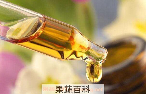 山茶花油的功效和作用 山茶花油的食用方法